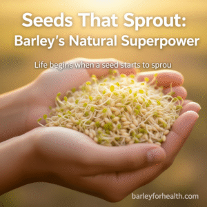Hands holding freshly sprouted barley grains with tiny green shoots, glowing in warm sunlight, symbolizing life, growth, and natural health, with text overlay “Seeds That Sprout: Barley’s Natural Superpower” and branding barleyforhealth.com.