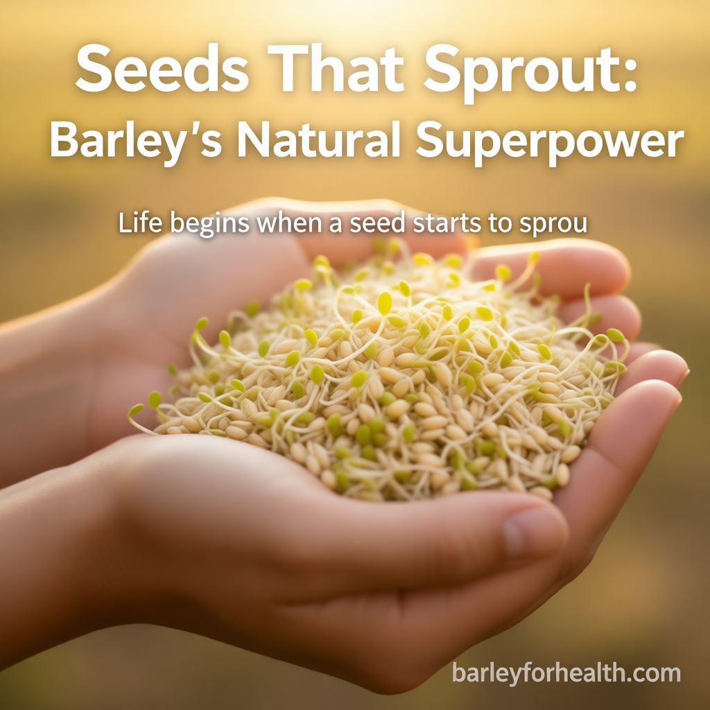 Hands holding freshly sprouted barley grains with tiny green shoots, glowing in warm sunlight, symbolizing life, growth, and natural health, with text overlay “Seeds That Sprout: Barley’s Natural Superpower” and branding barleyforhealth.com.